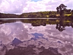 Franz Neufing - Himmelsspuren spiegeln sich im Wasser wider